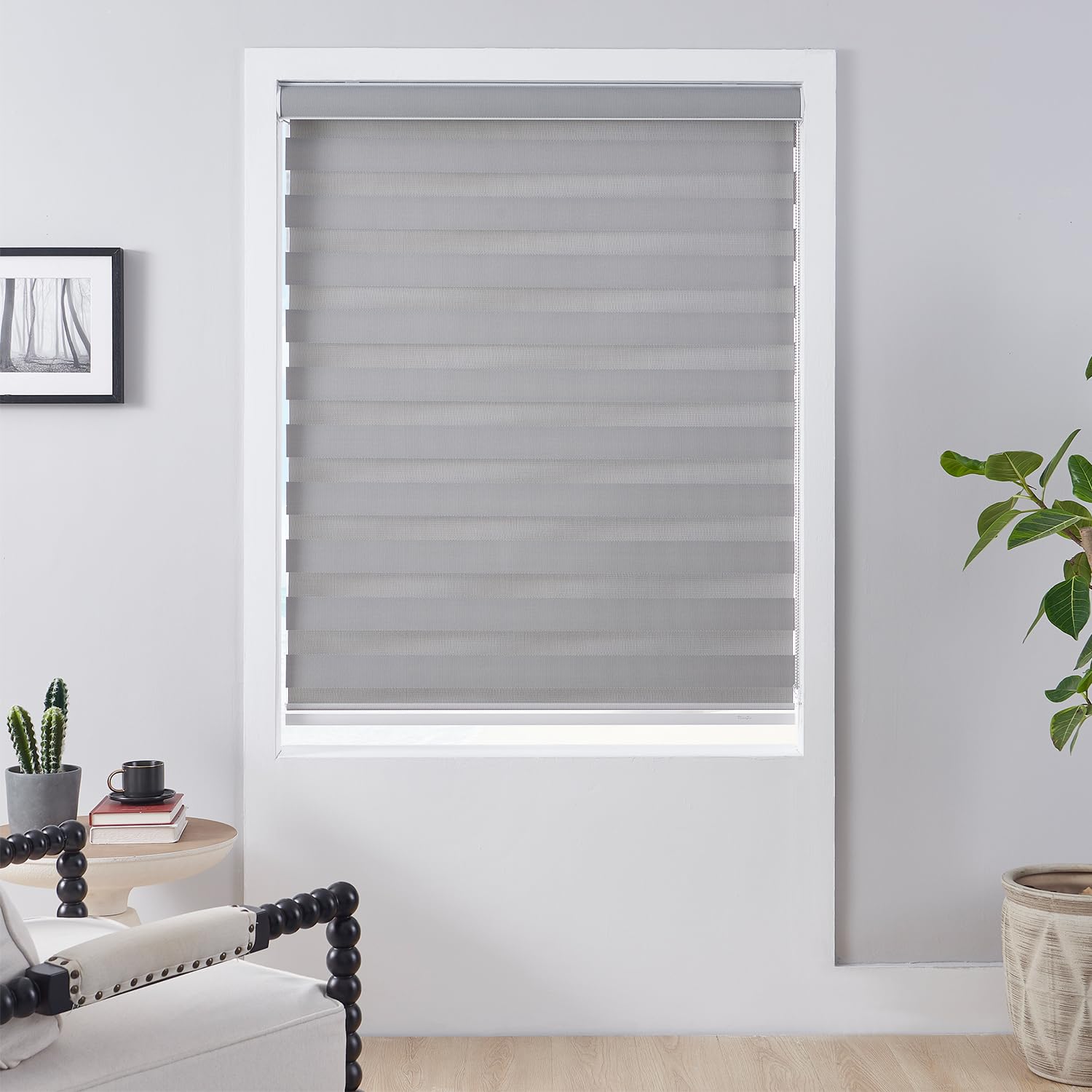 zebra-blinds 