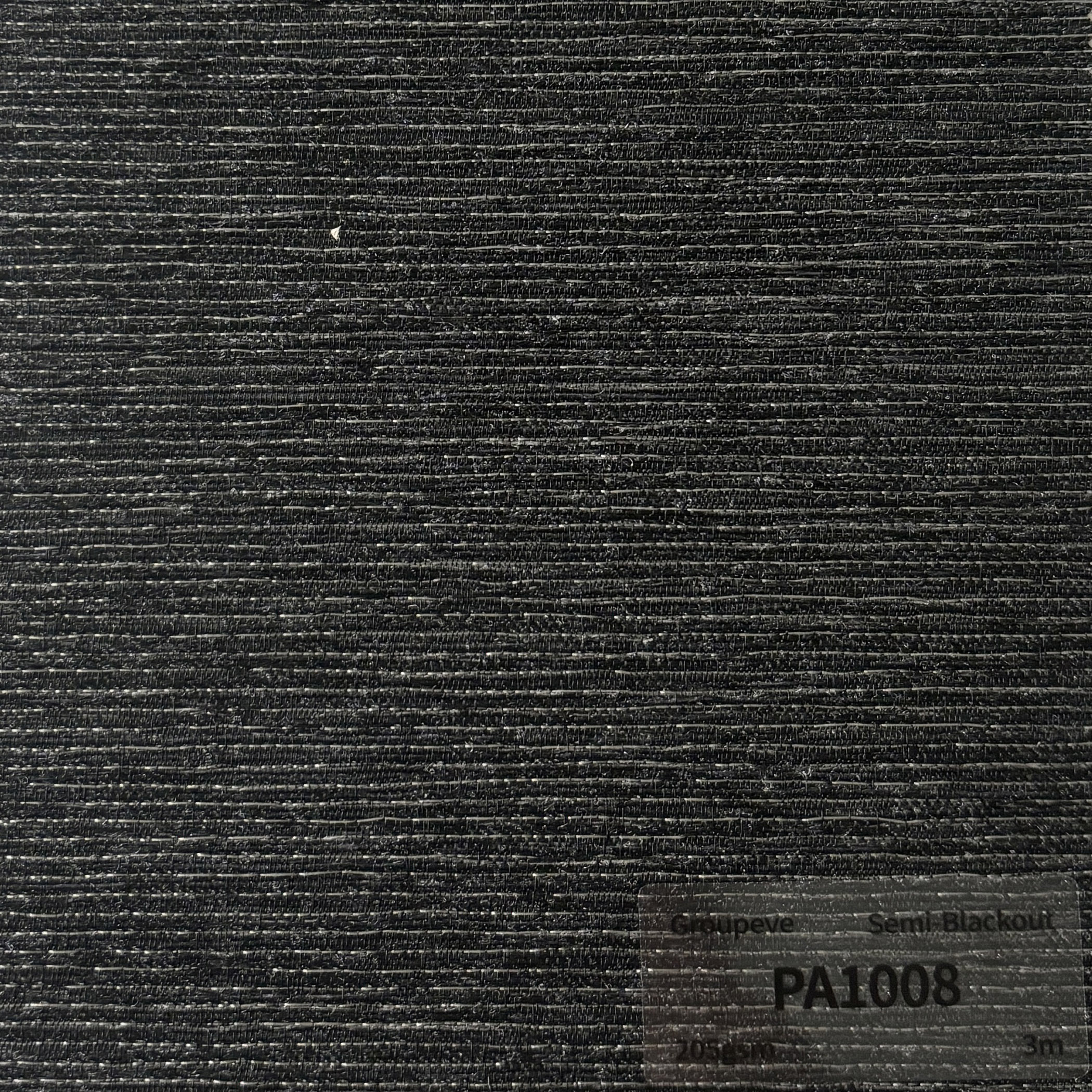 PA1008