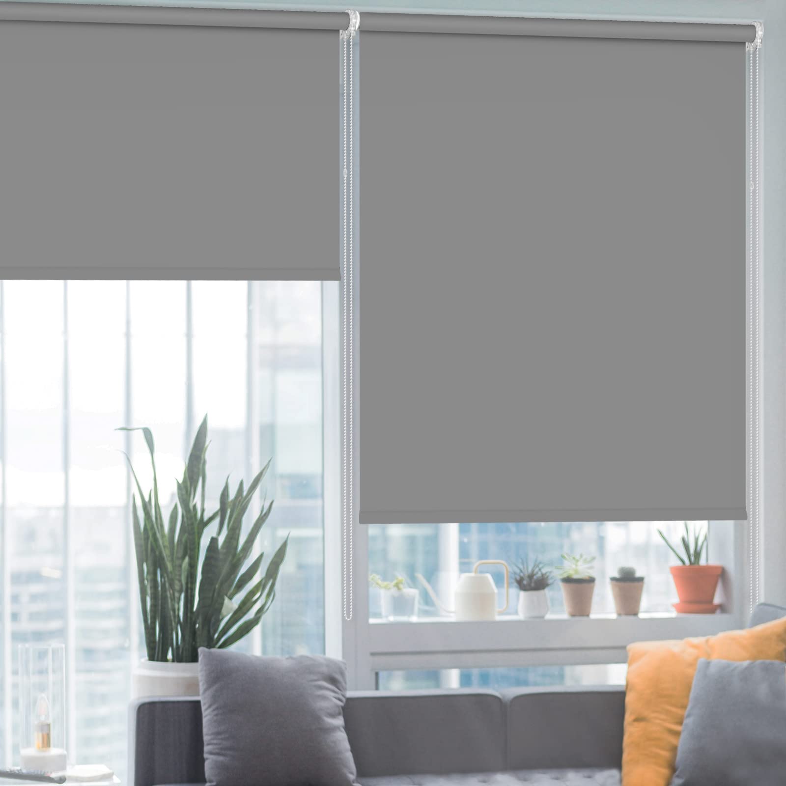 window-blinds